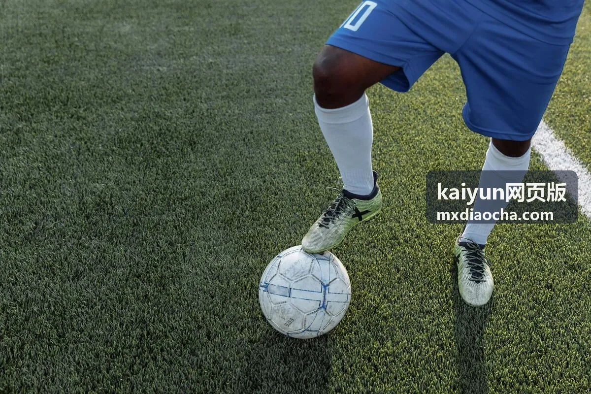 kaiyun网页版门户使用指引封面