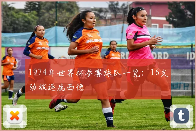 1974年世界杯参赛球队一览:16支劲旅逐鹿西德